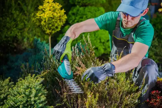 landscaping services St. Edward